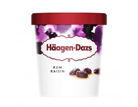 Haagen-Dazs Rum Raisin Ice Cream - Case