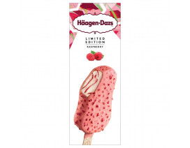 Haagen-Dazs RasberryIce Cream - Case