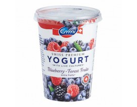 Emmi Swiss Premium Greek Style Yoghurt Blueberry - Carton