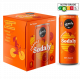 Remedy Organic Sodaly Orange - Carton