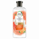 Herbal Essence Shampoo Grapefruit & Mint - Carton