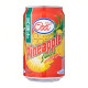 Ice Cool Pineapple Juice - Case