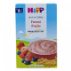 Hipp Milk Pap Forest Fruits - Case