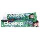 Close Up Green Toothpaste (Indo) - Carton