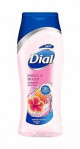 Dial Hibiscus Water Body Wash (Usa) - Case