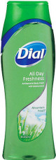 Dial Mountain Fresh Body Wash (Usa) - Case