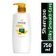 Pantene Pro-V Silk & Smooth Care Shampoo - Carton