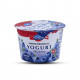Emmi Swiss Premium Greek Style Yogurt - Blueberry - Carton