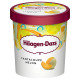 Haagen-Dazs Cantaloupe Melon Ice Cream - Case