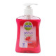 Dettol Anti-Bacterial Hand Wash Strawberry - Case
