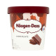 Haagen-Dazs Chocolate Ice Cream - Case