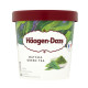 Haagen-Dazs Matcha Green Tea Ice Cream - Case