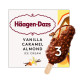 Haagen-Dazs Vanilla Caramel Almond Multi Pack Ice Cream - Case