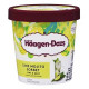 Haagen-Dazs Lime Mojito Sorbet Ice Cream - Case