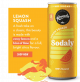 Remedy Sodaly Lemon Squash - Carton