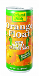 Orchard Fresh Orange Float - Case