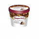 Haagen-Dazs Belgian Chocolate and Hazelnut Ice Cream - Case