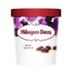 Haagen-Dazs Rum Raisin Ice Cream - Case