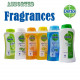 Dettol Assorted Fragrance Body Wash - Case