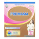 Wyeth Promama Pregnancy & Lactation Milk Formula - Case